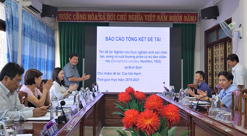 ANH 1