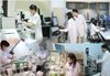 Sửa quy định thu hút, trọng dụng nhà khoa học xuất sắc