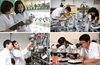 Thúc đẩy phát triển thị trường khoa học và công nghệ