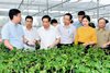 Đoàn giám sát của Hội đồng Dân tộc của Quốc hội làm việc tại Gia Lai
